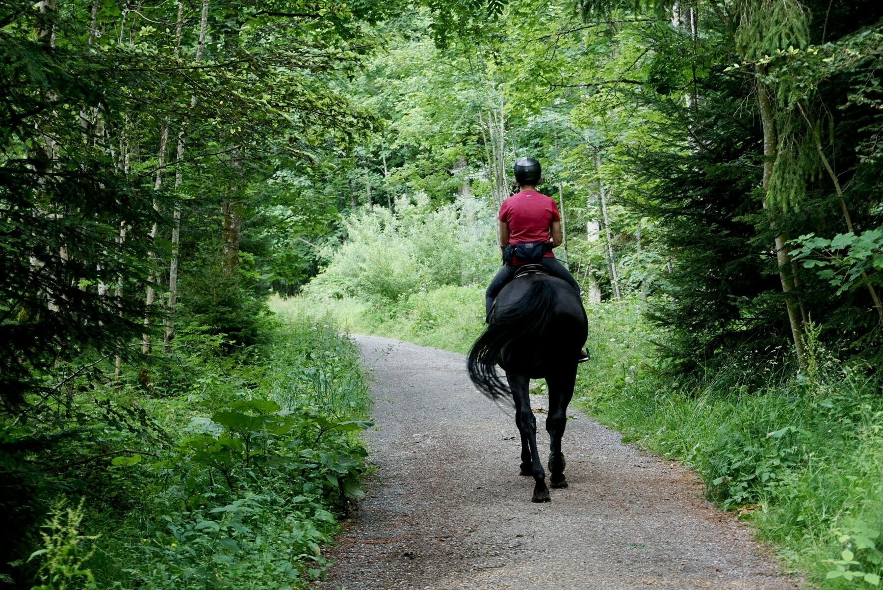 a rider on horseback racing away down a forest path