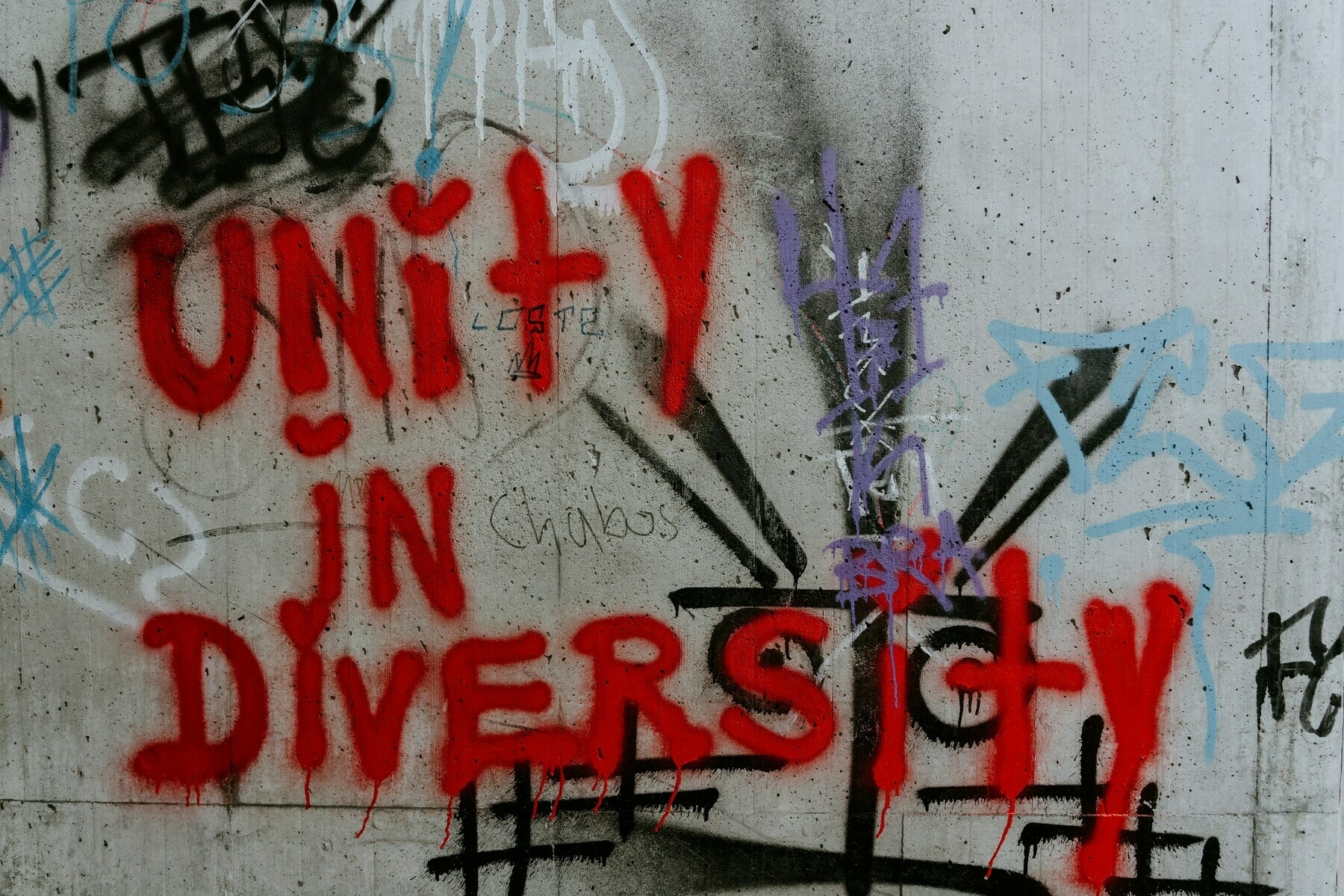 a grafiti wall that reads 'unity in diversity'