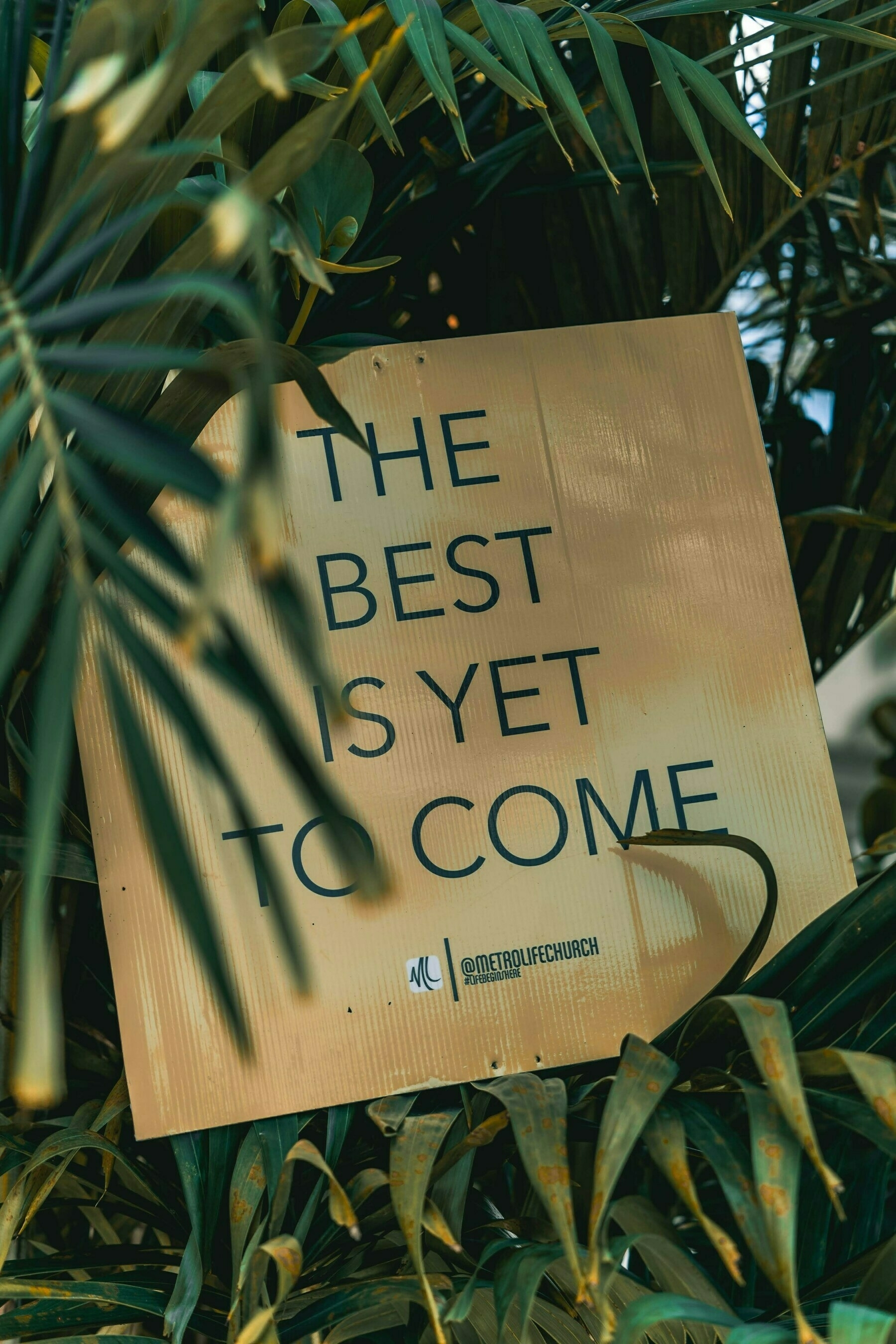 a sign in a tree that reads, 'the best is yet to come'