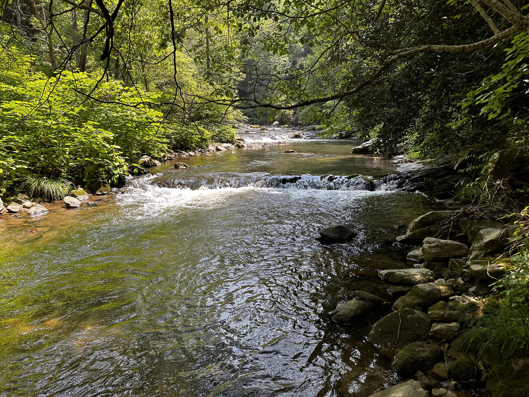 A mountain stream flows over rocks toward the camera. 