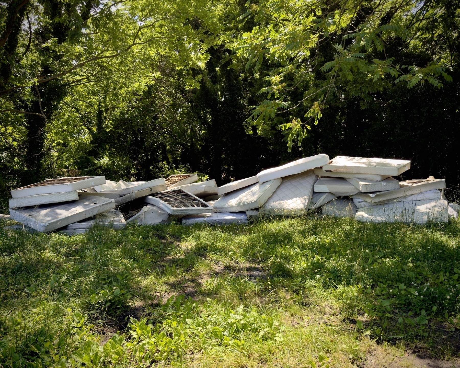 A pile of old mattresses and box springs lay in a pile in the trees beside the highway 