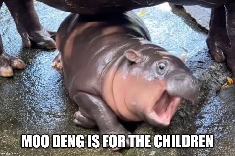 “Moo Deng is for the children” over the Pygmy hippo, Moo Deng, writhing on the ground, looking impossibly cute