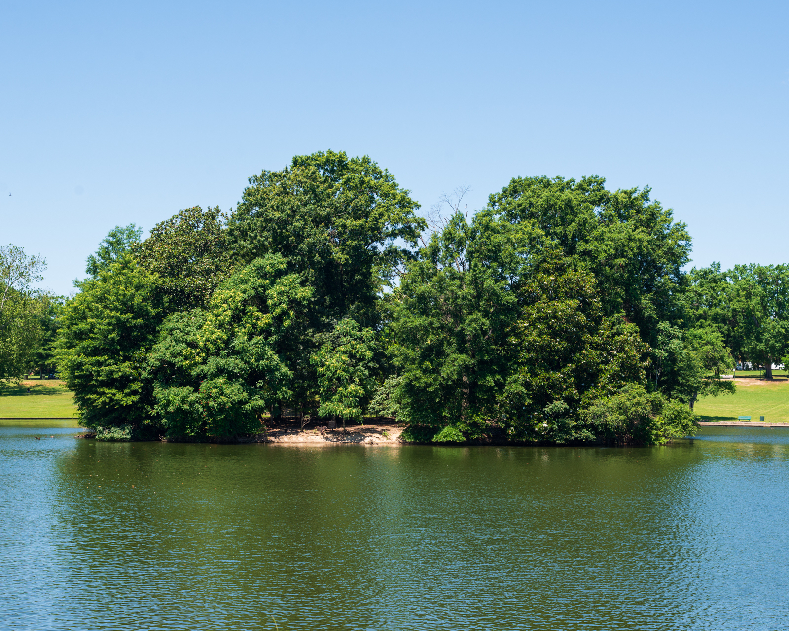 trees on a small island in the middle of the pond in Byrd Park