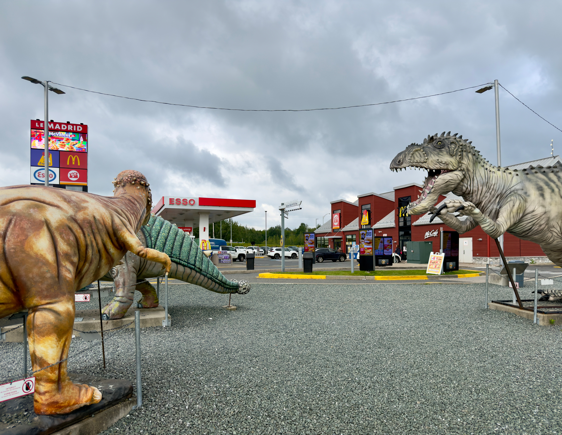 Life-sized dinosaur models outside a rest stop around St-Léonard-d’Aston, Quebec