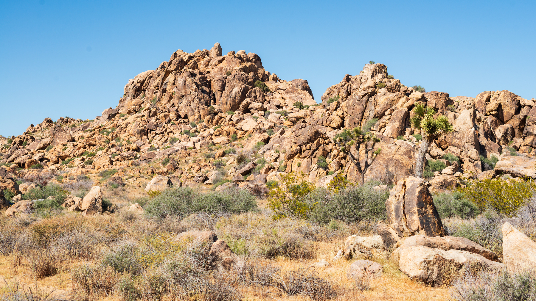 scrambling rocky mountains in Joshua Tree National Park