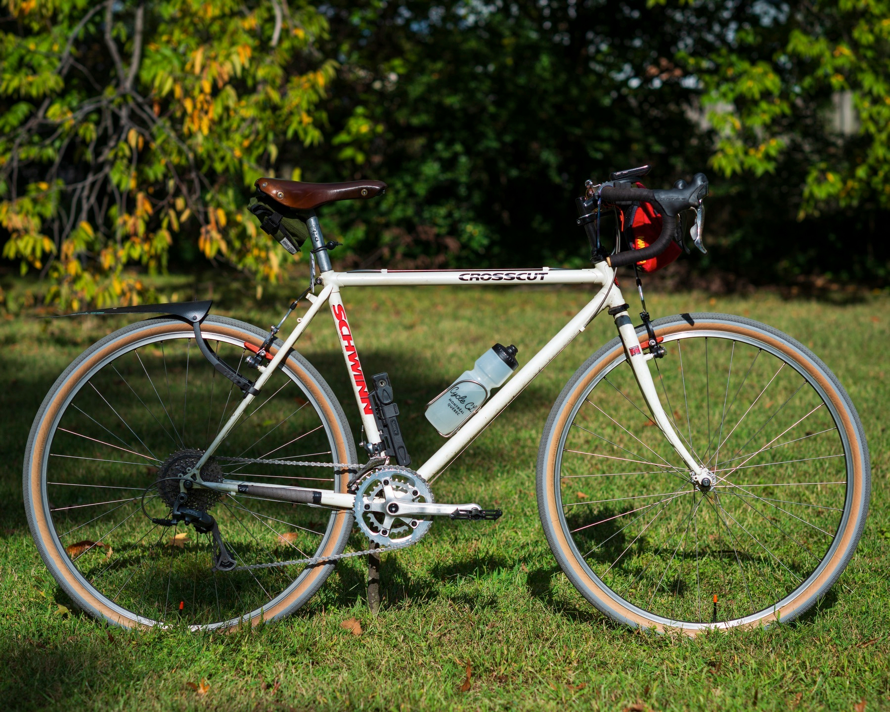 side view of my 1991 Schwinn crosscut bike`