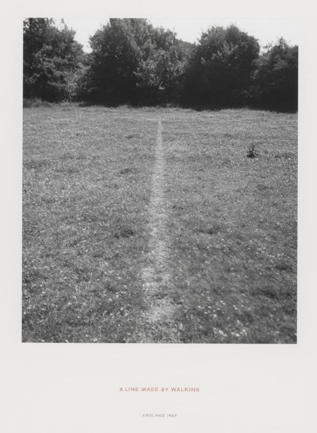 A photograph of a field with trees at one end. A path has been worn in the field. 