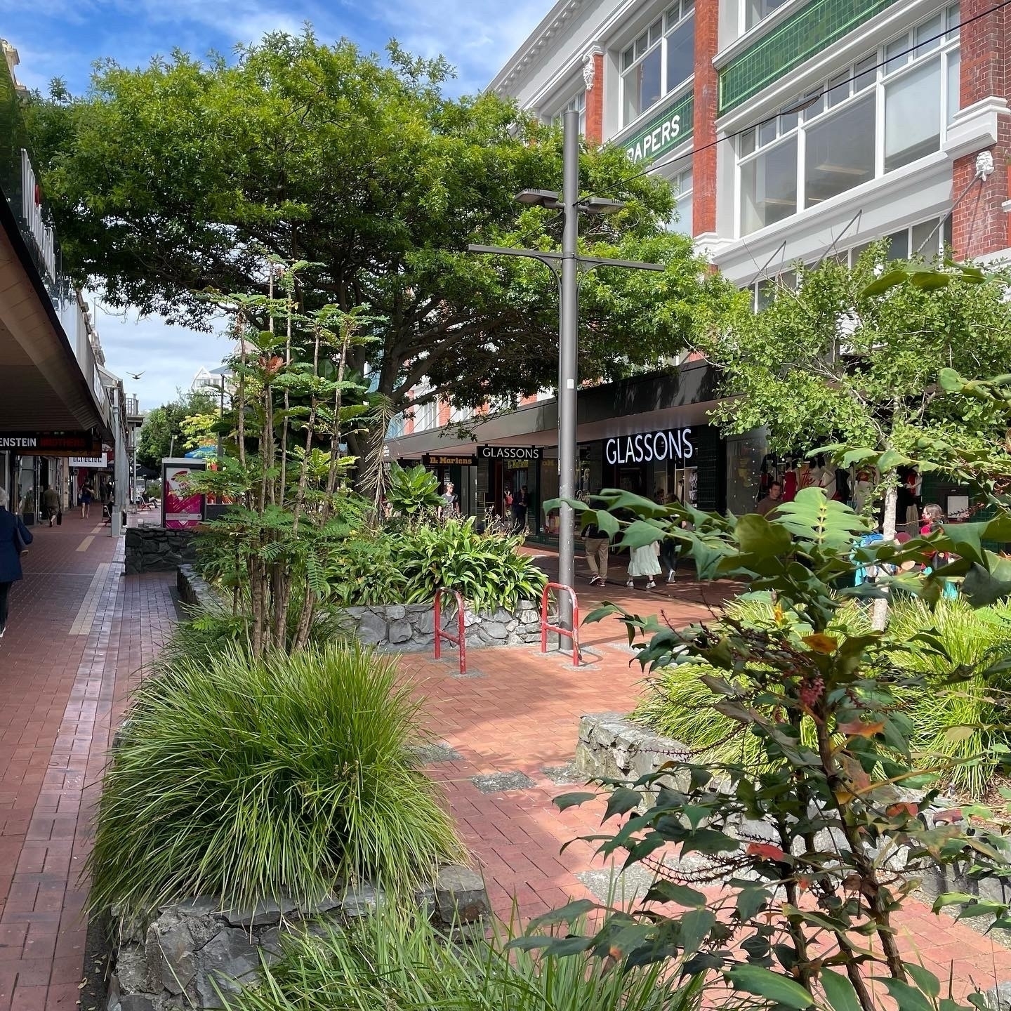 Trees and plants shading and filling a pedestrian mall. 