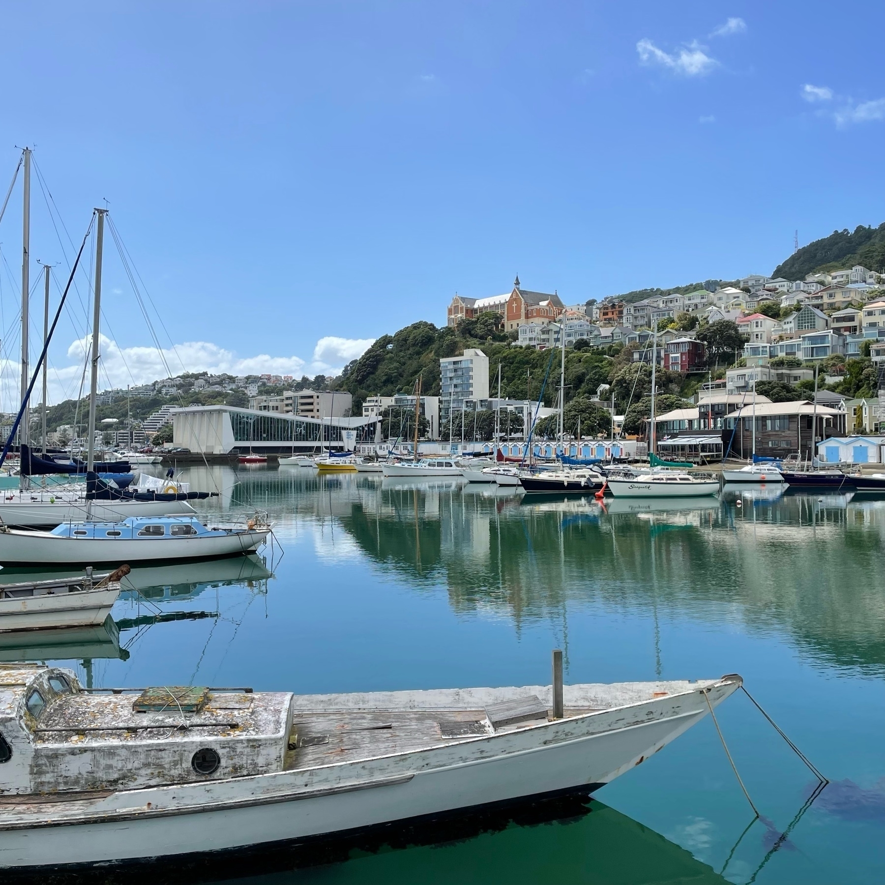 view of a marina on sunny day, still blue water, houses on hills behind