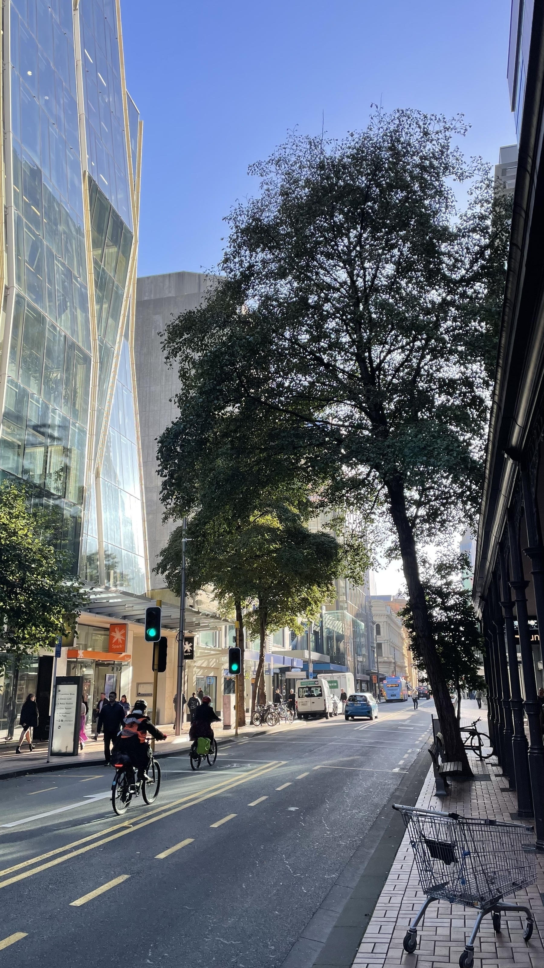 Two cyclists on Willis St Wellington. Sunlight through trees. Blue sky on a winters day.