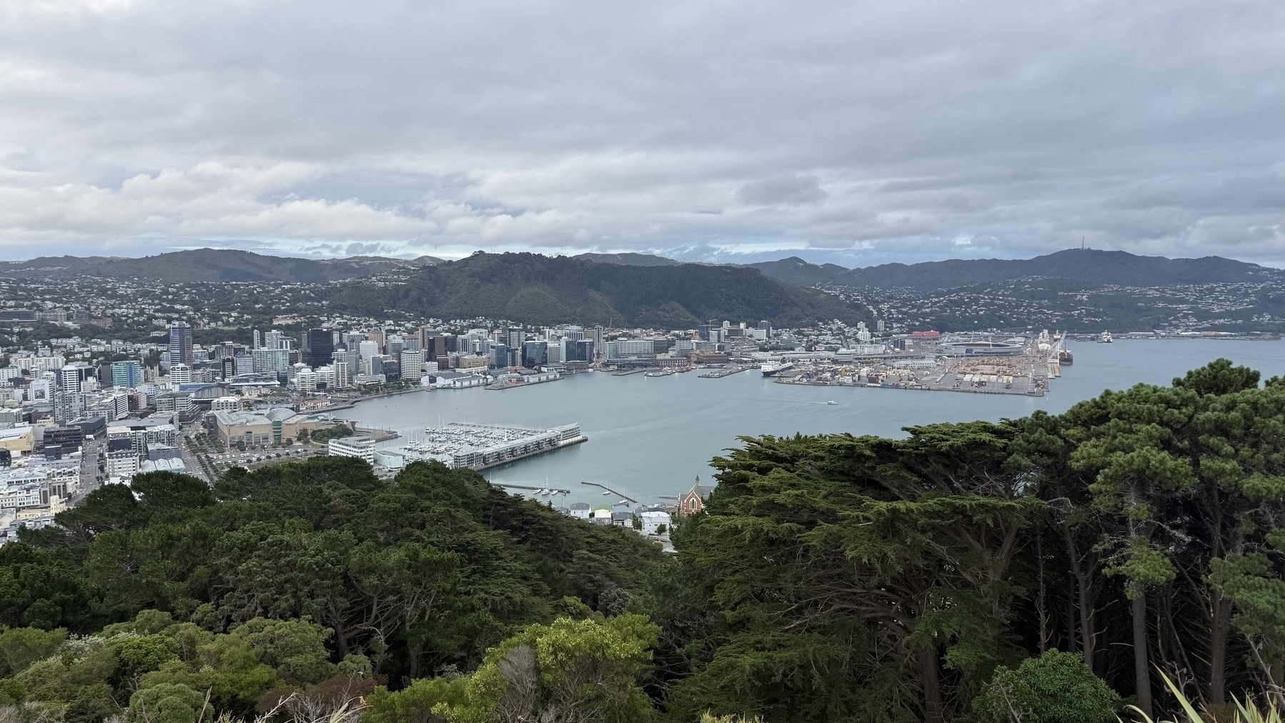 View of Wellington harbour 