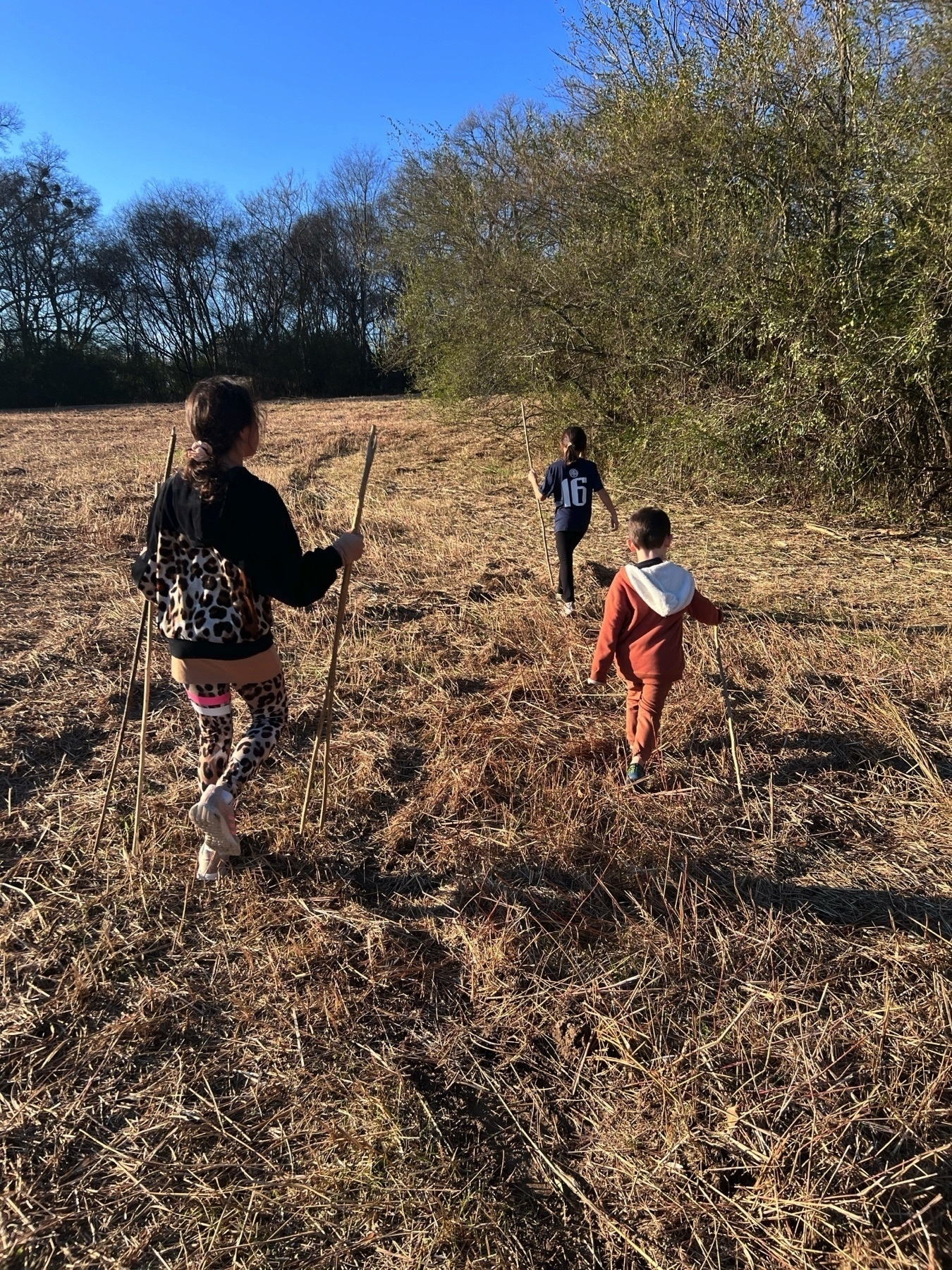 Three children with bamboo “hiking sticks” walking through farm land.