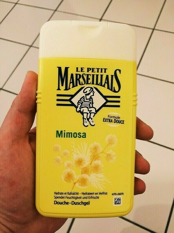 Mimosa