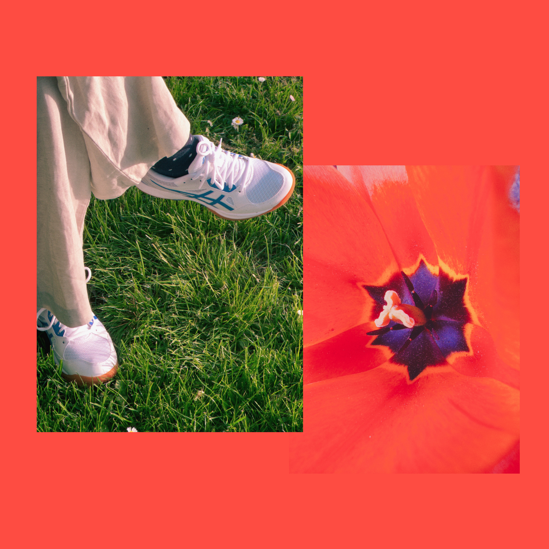 Zwei Bilder auf rot-orangenem Grund: Im linken Bild sieht man zwei Beine in Leinenhose samt dunkelblauen Socken und weißen Turnschuhen auf einer sattgrünen Wiese. Das rechte Bild zeigt eine Blüte in der Farbe des Hintergrunds.