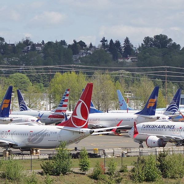 Boeing 737 MAX aircraft parked on a tarmac.