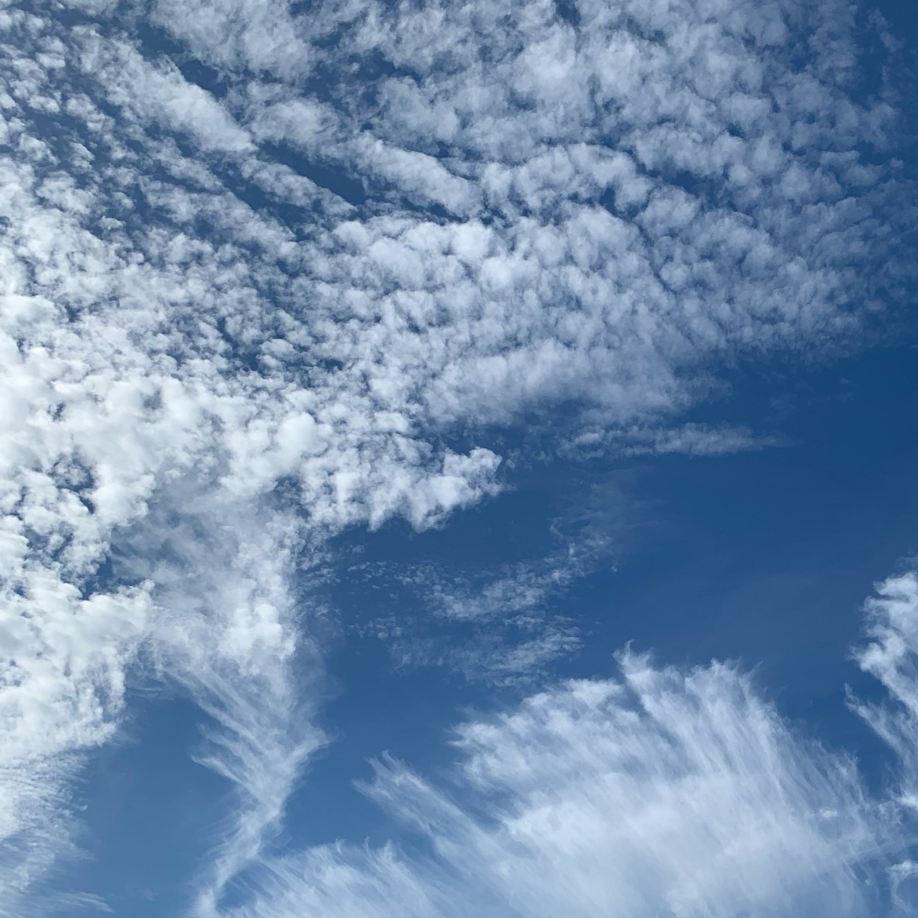 Clouds against a blue sky