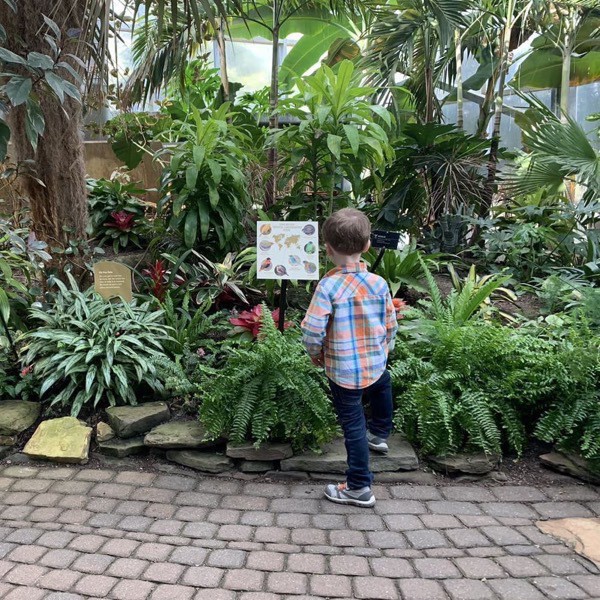 Little boy reads a sign at botanical guardians