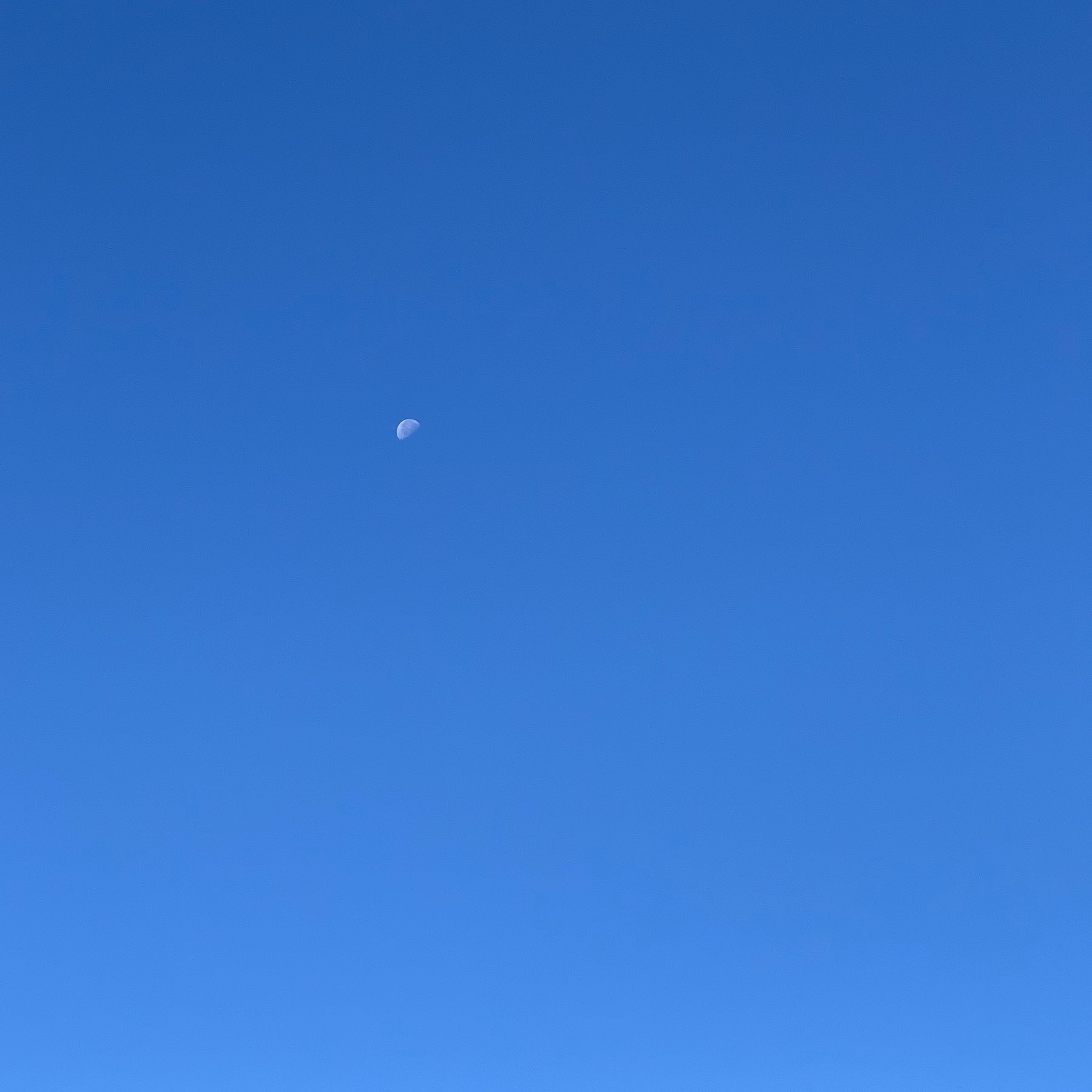 Half moon visible during the day