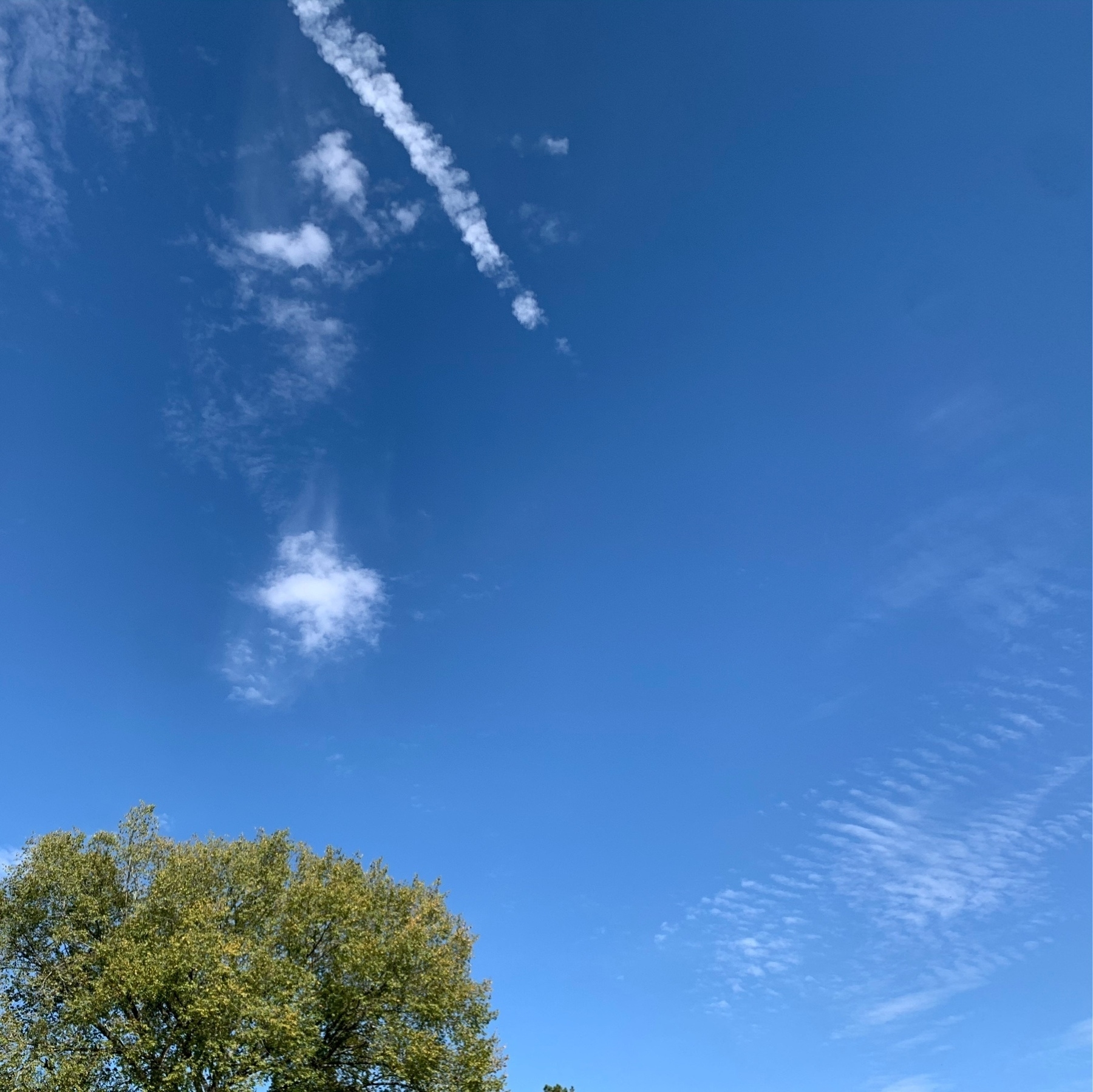 Clouds against a bright blue sky