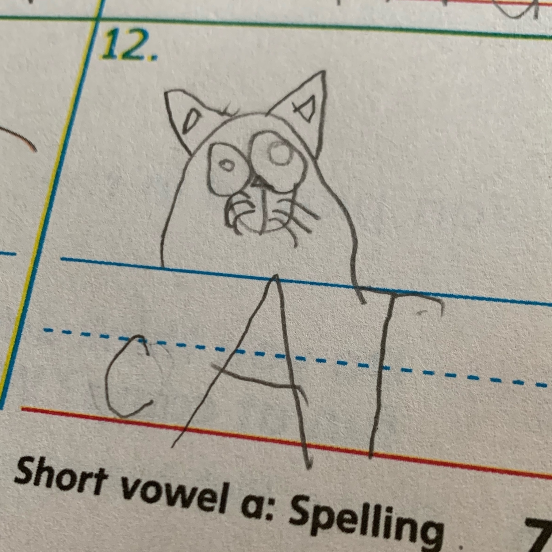 Cat drawing
