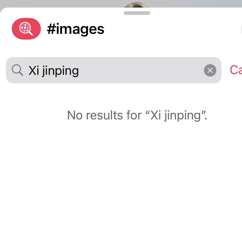 iOS gif search results for Xi Jinping