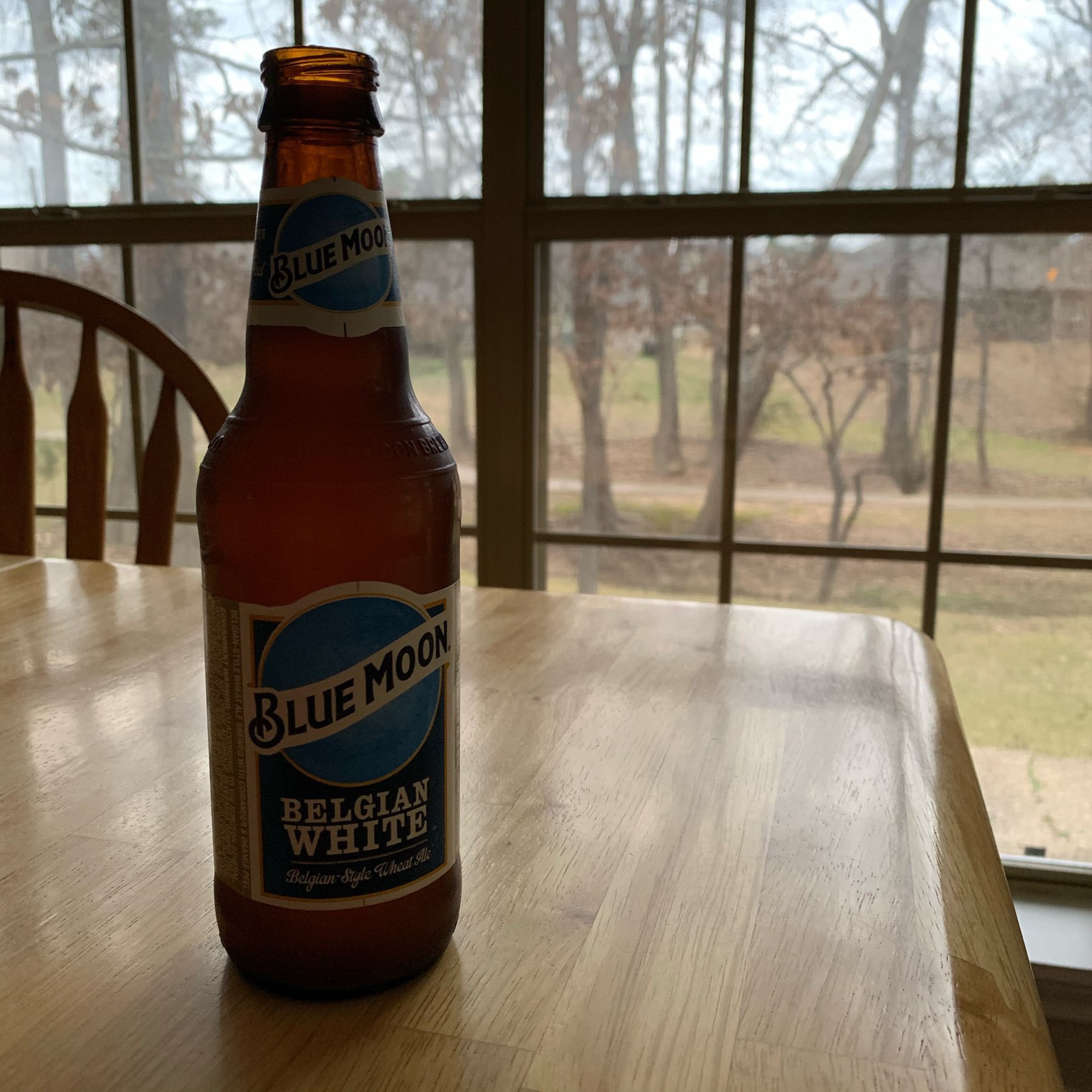 Blue Moon Beer Bottle