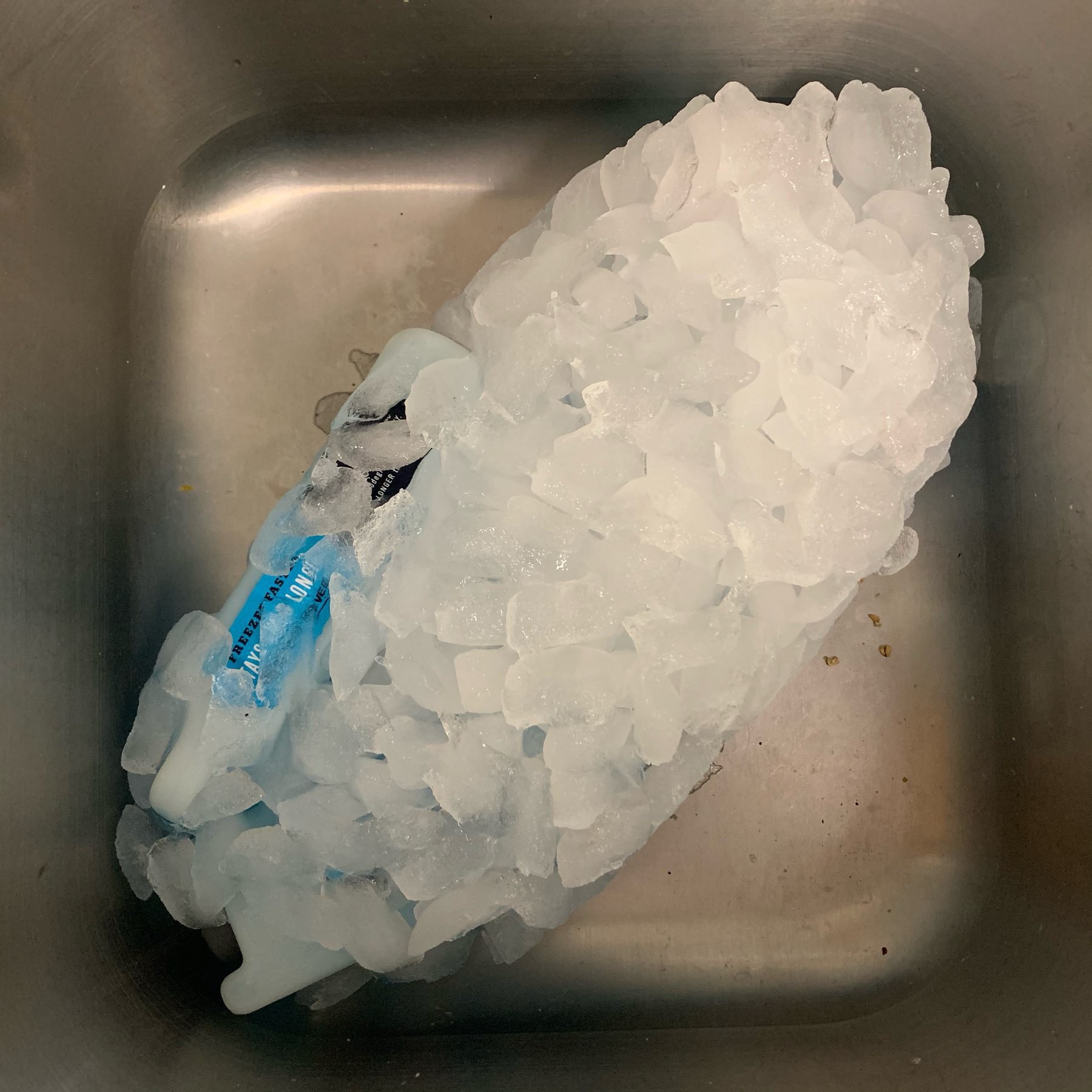 Yeti ice encased in ice. 