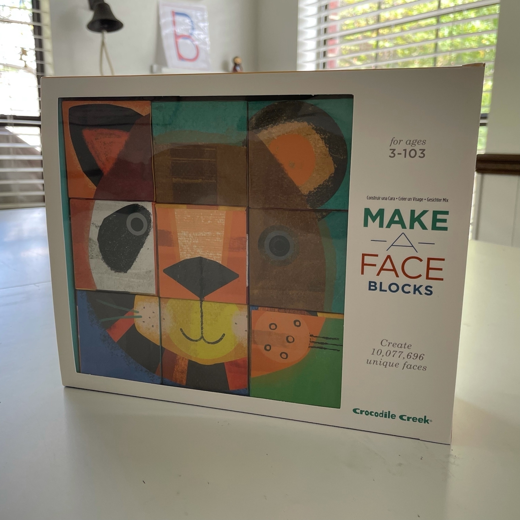 Make A Face blocks