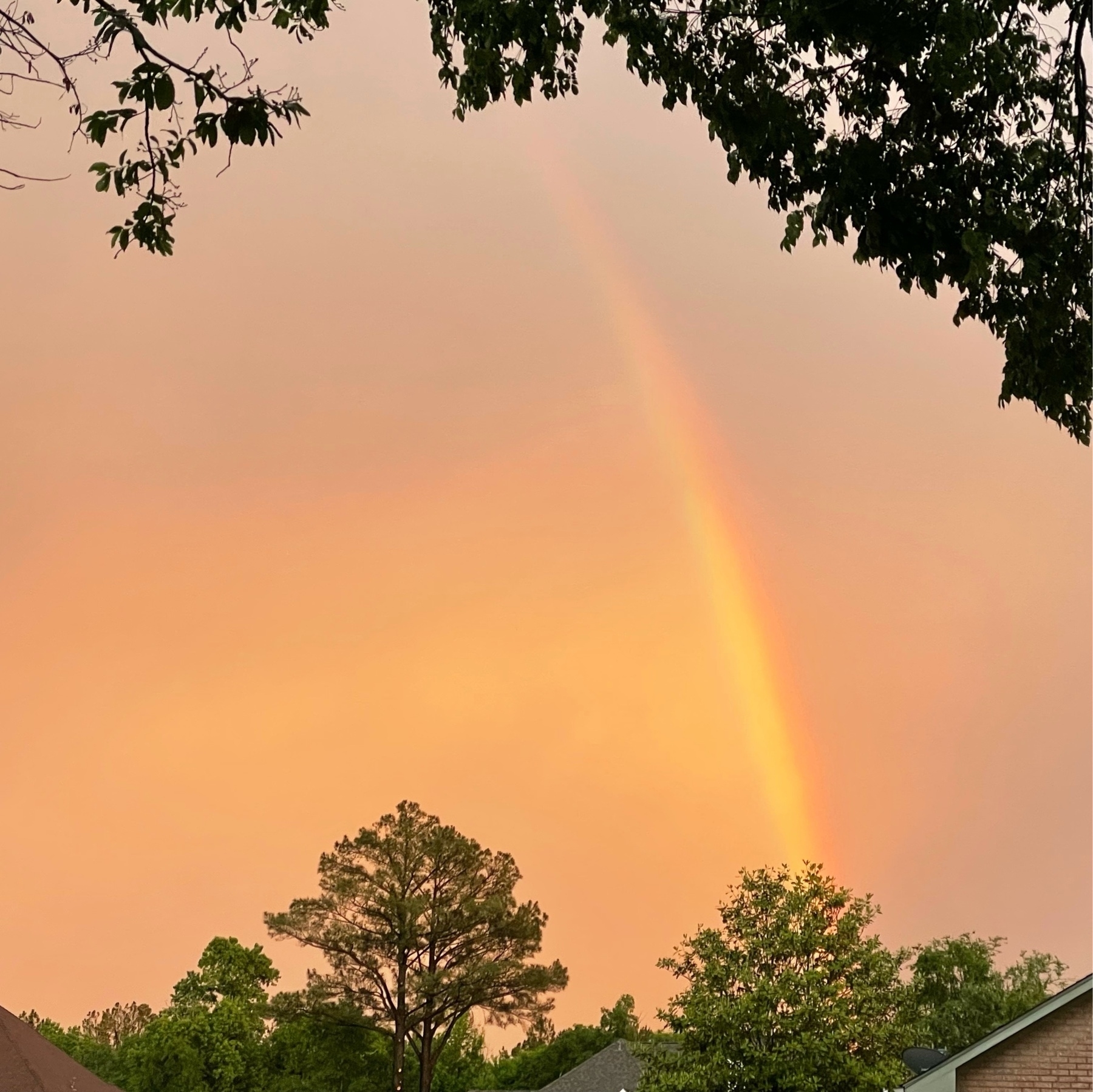 Rainbow against orange sky
