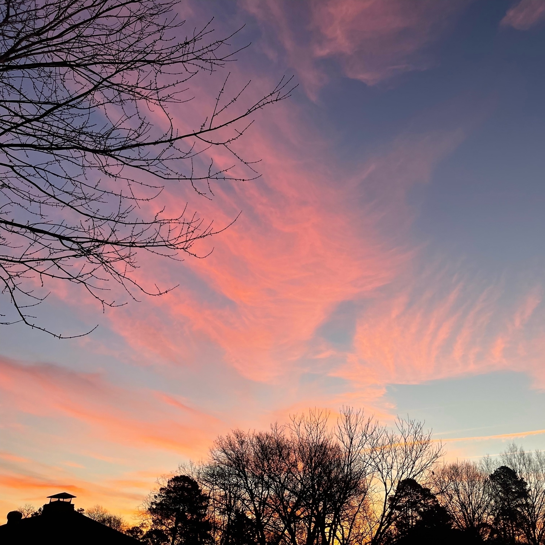 Painted sky at sunrise