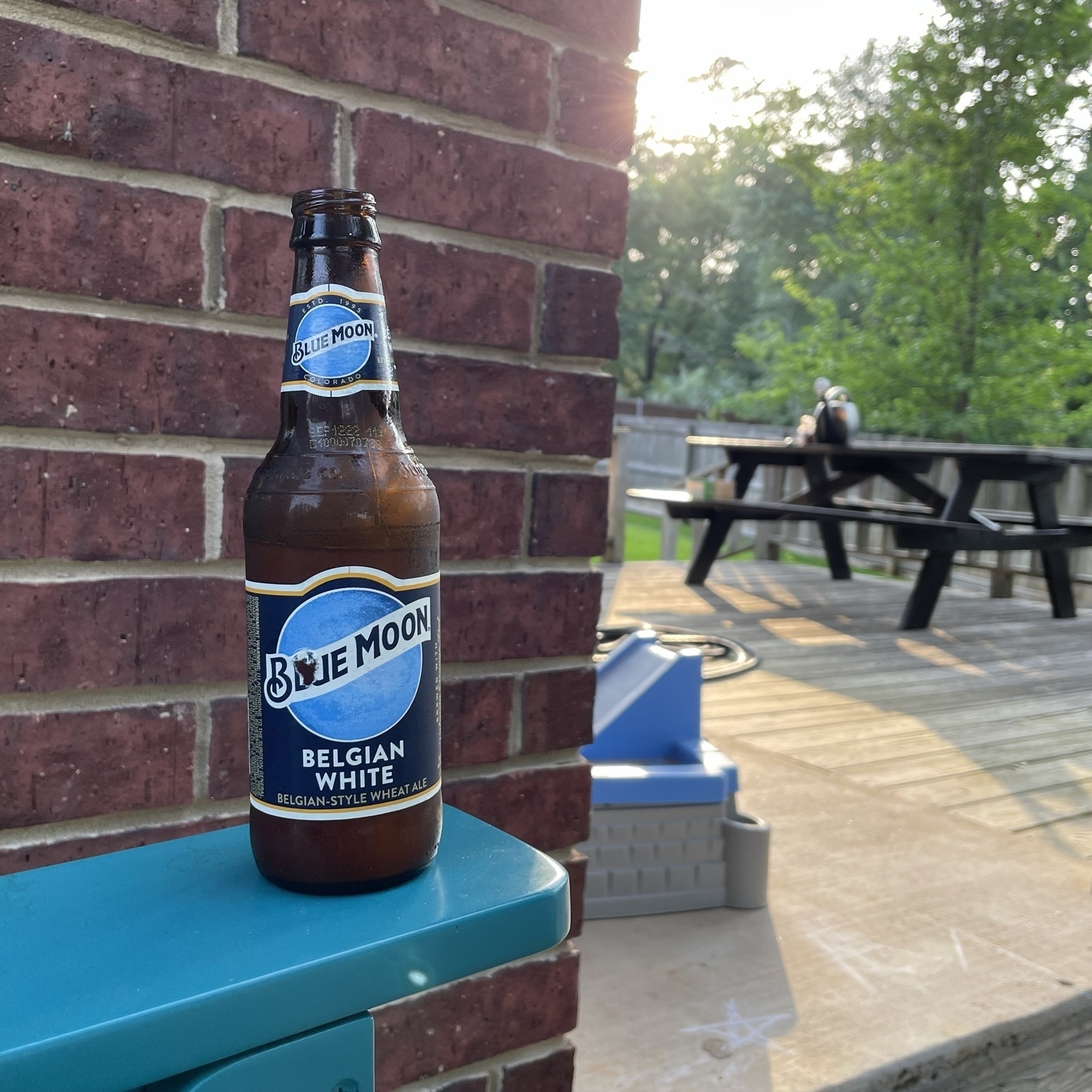 Beer by brick wall