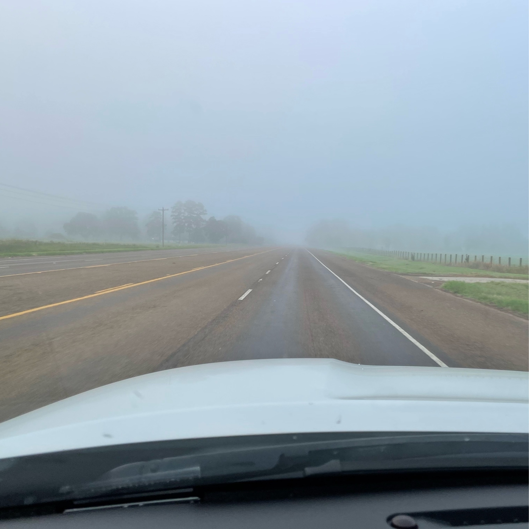Fog over the road