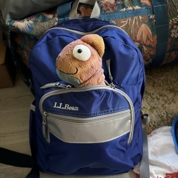Stuffed friend in a backpack