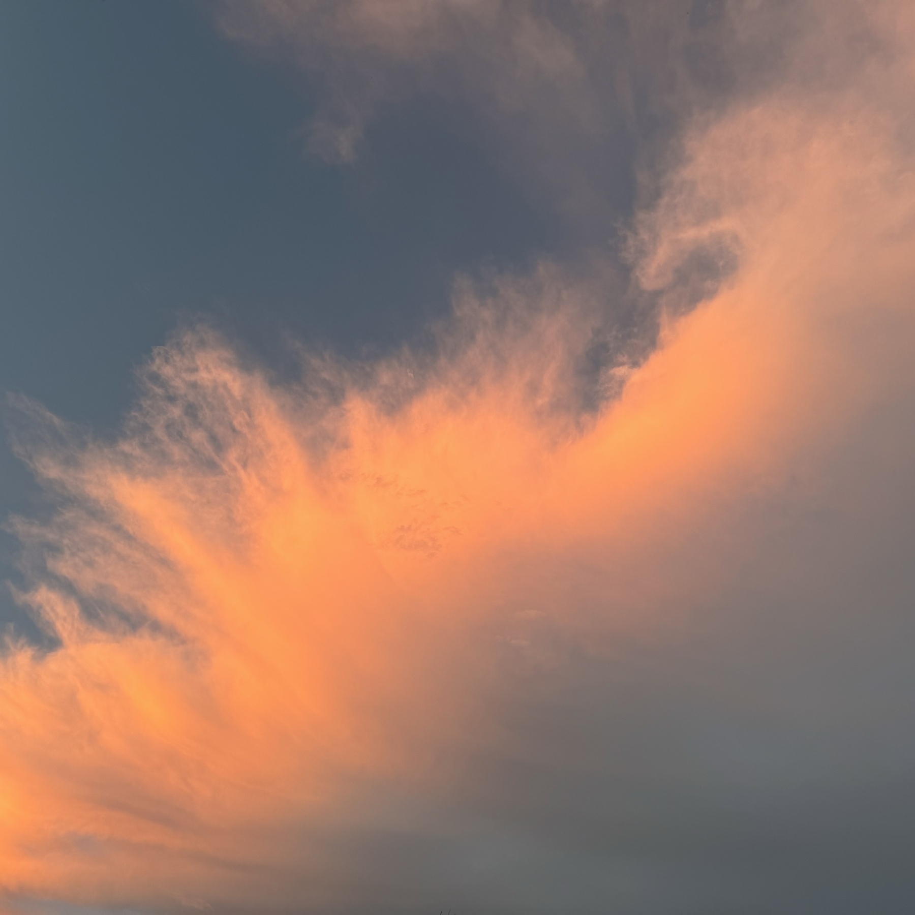 Sunset against whispy clouds