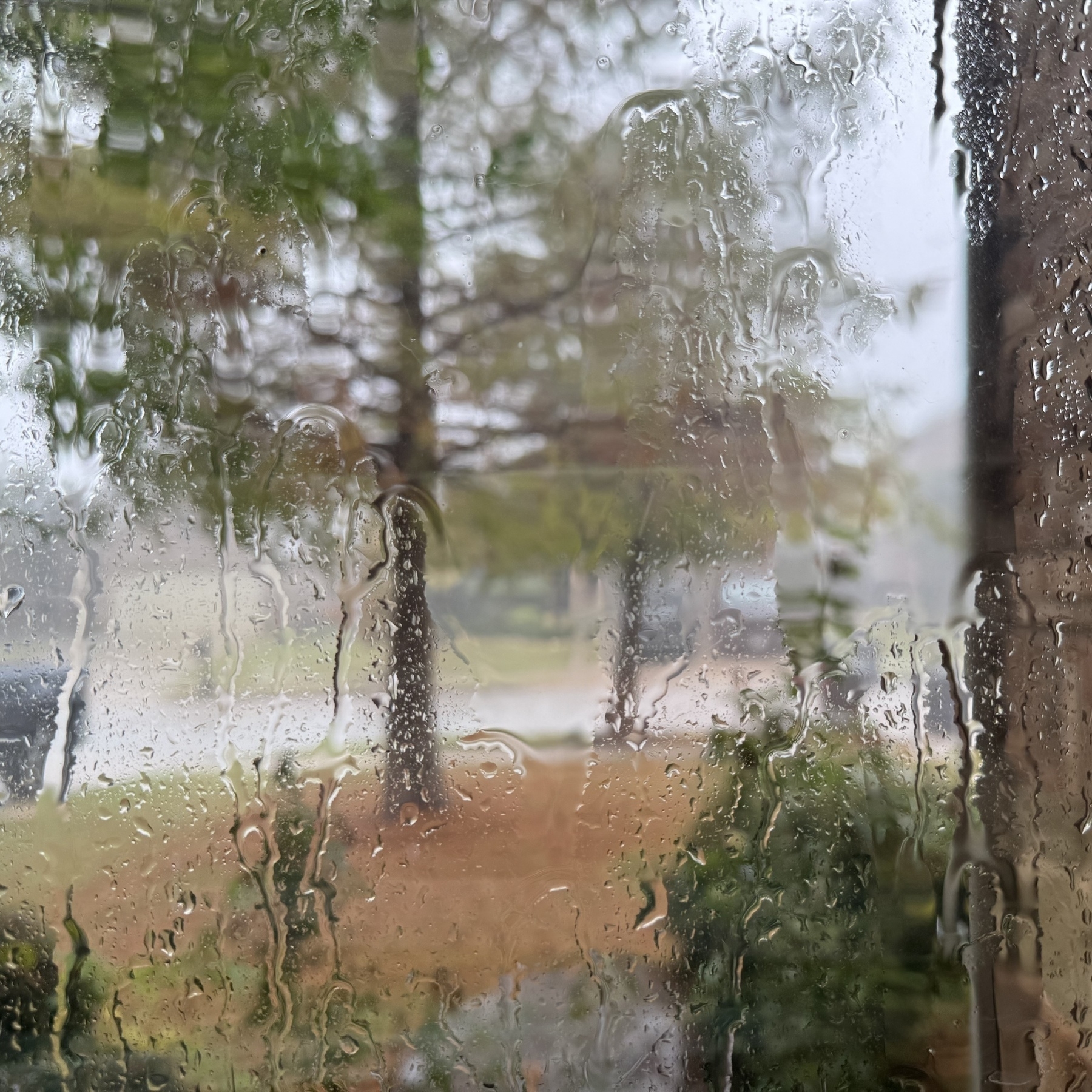 Rain on a window