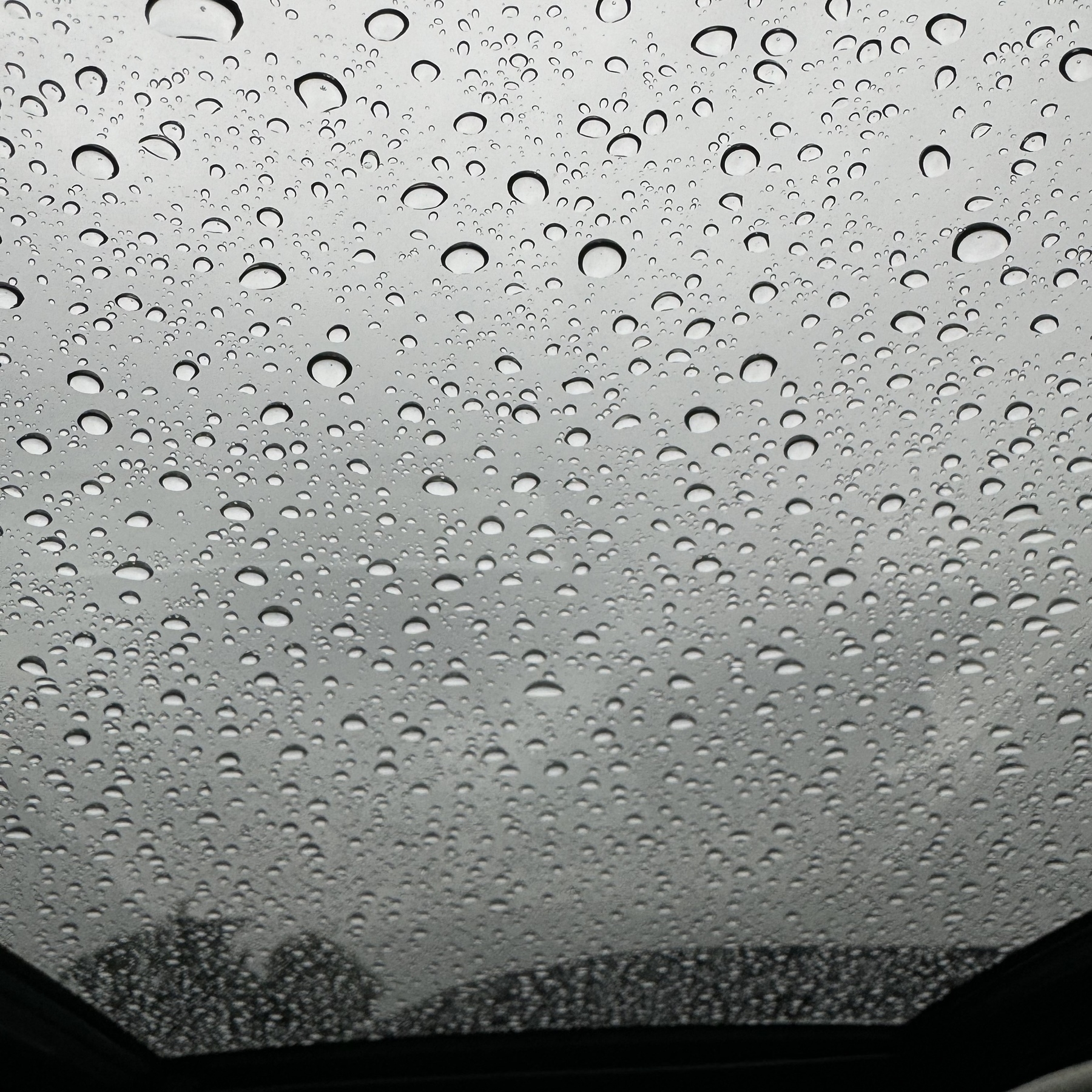 Rain drops gathered on a sunroof