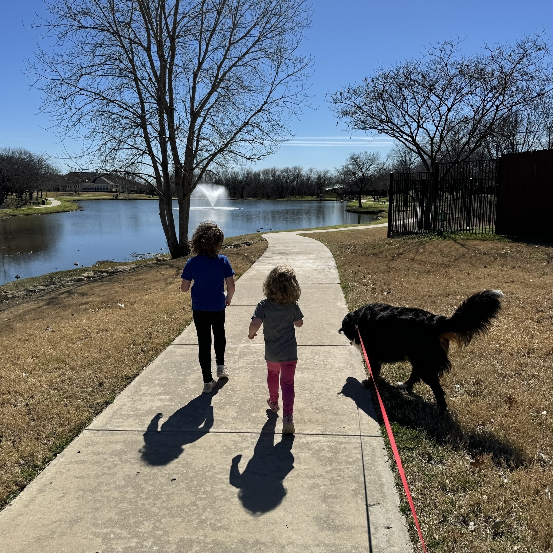 Kids and dog on a walk by a lake