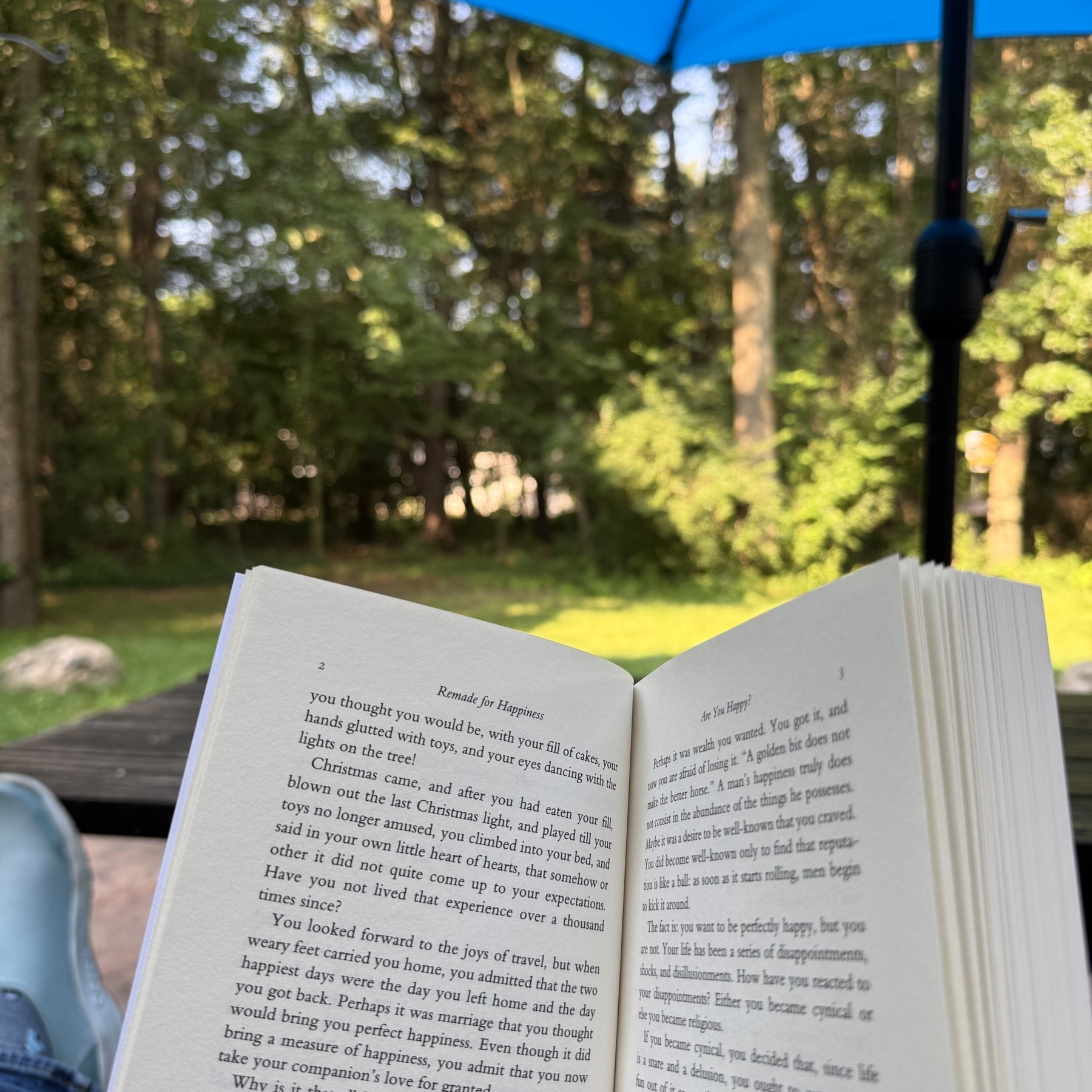 Book in the backyard