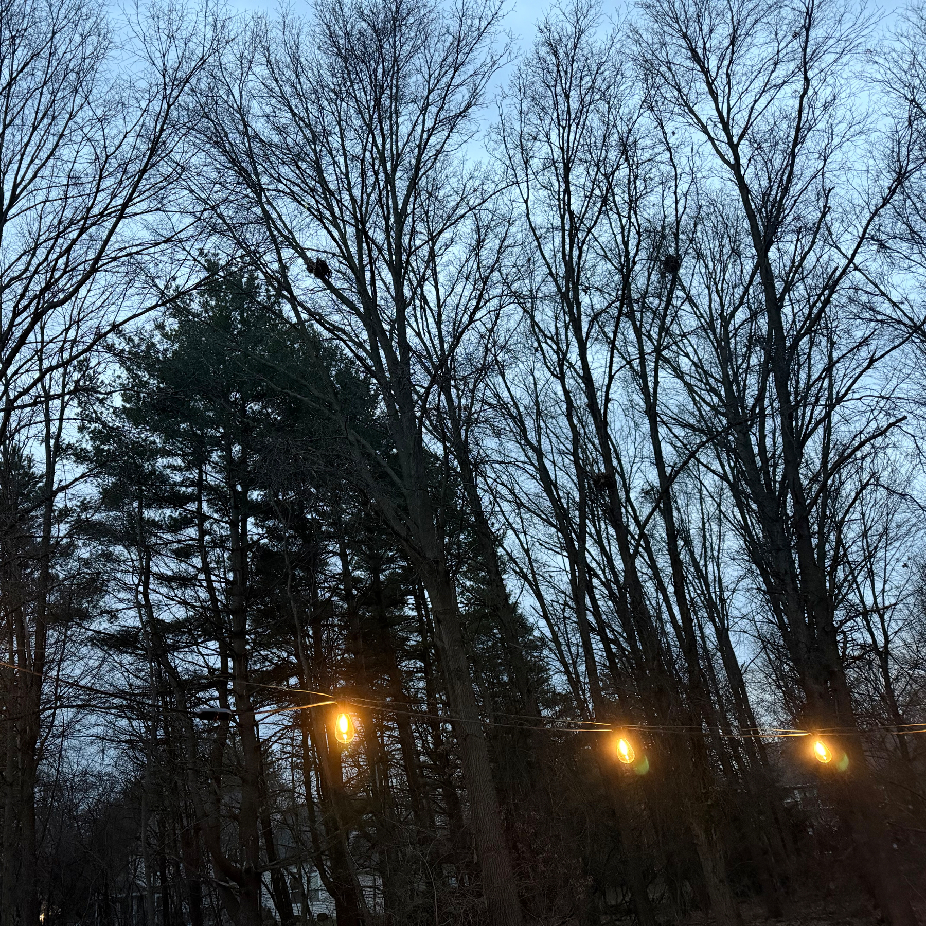 First light of the day