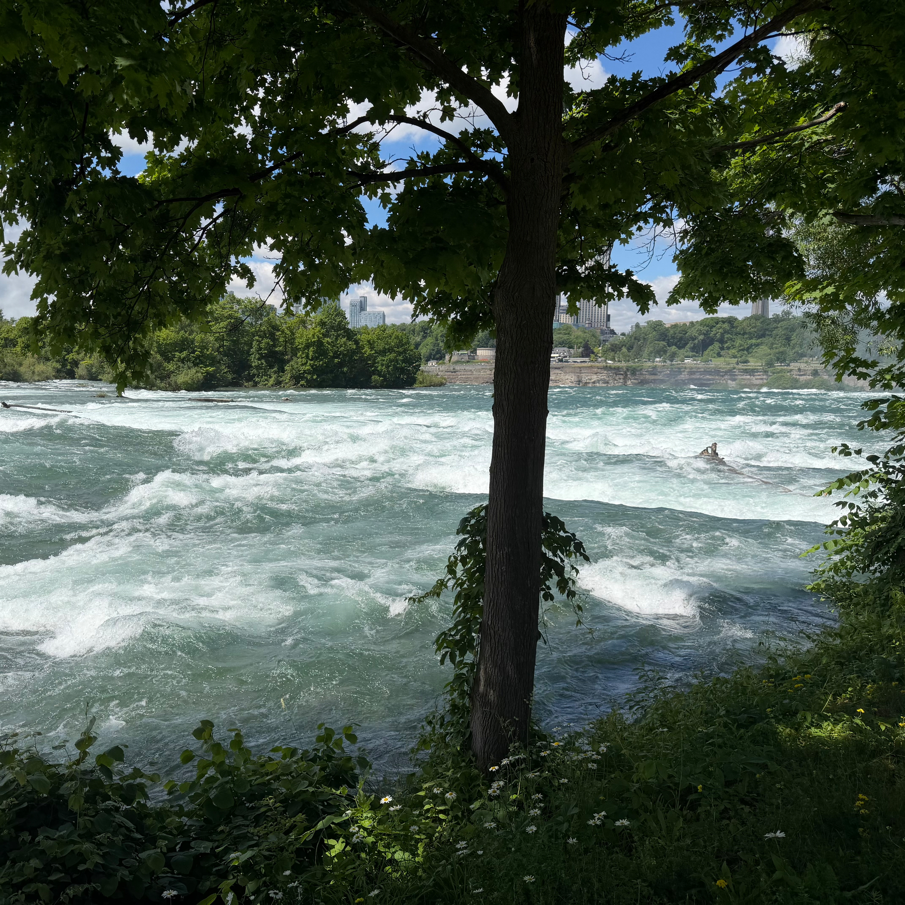 River rapids approaching the American Falls