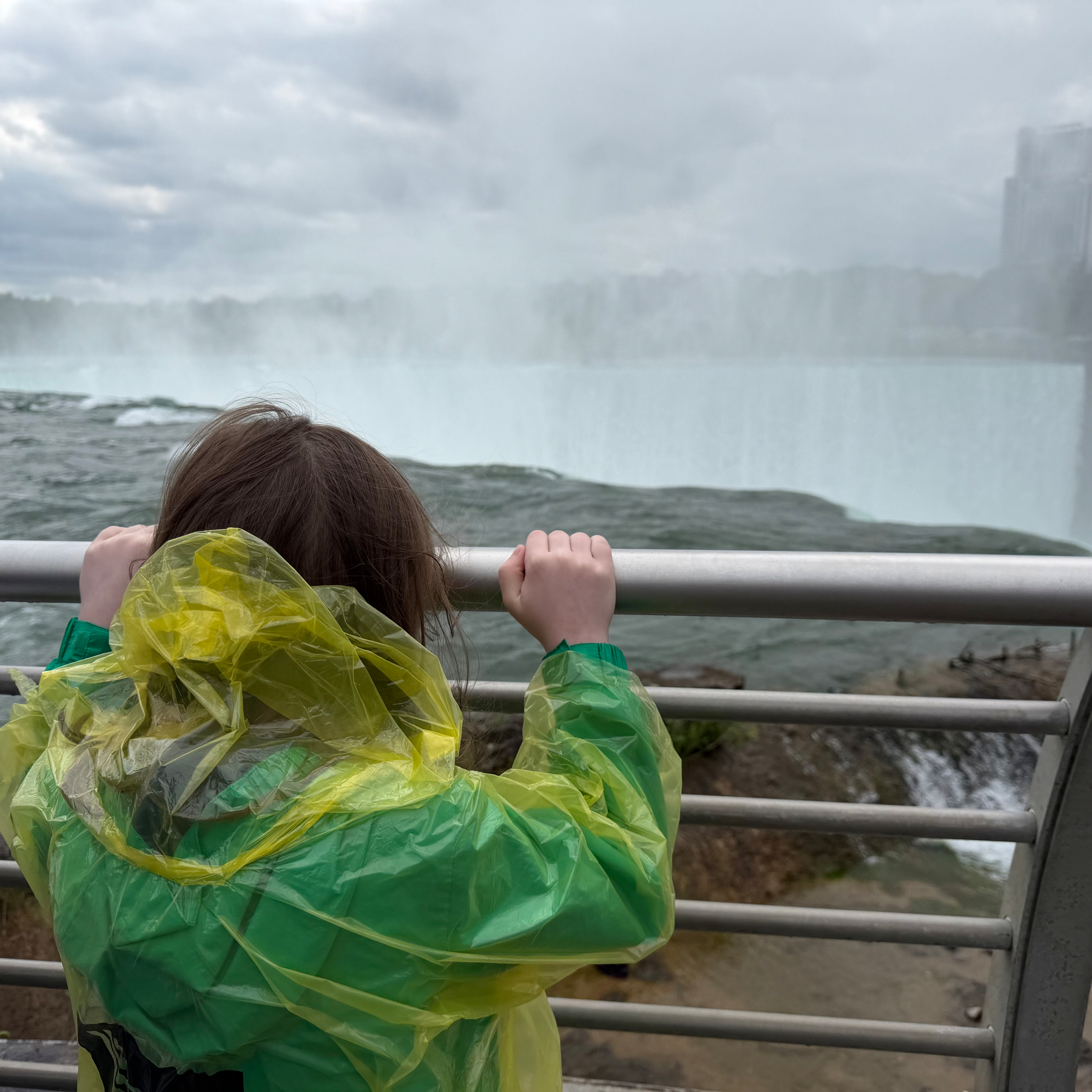 Lucy overlooking Horseshoe Falls.