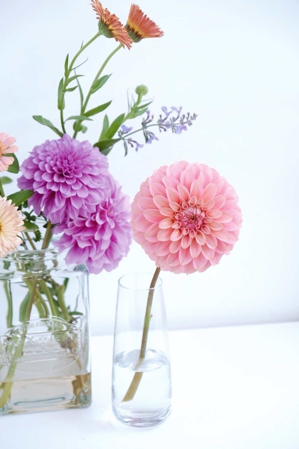 A pink dahlia blooms in a clear vase of water beside a larger arrangement of flowers in a square glass container.