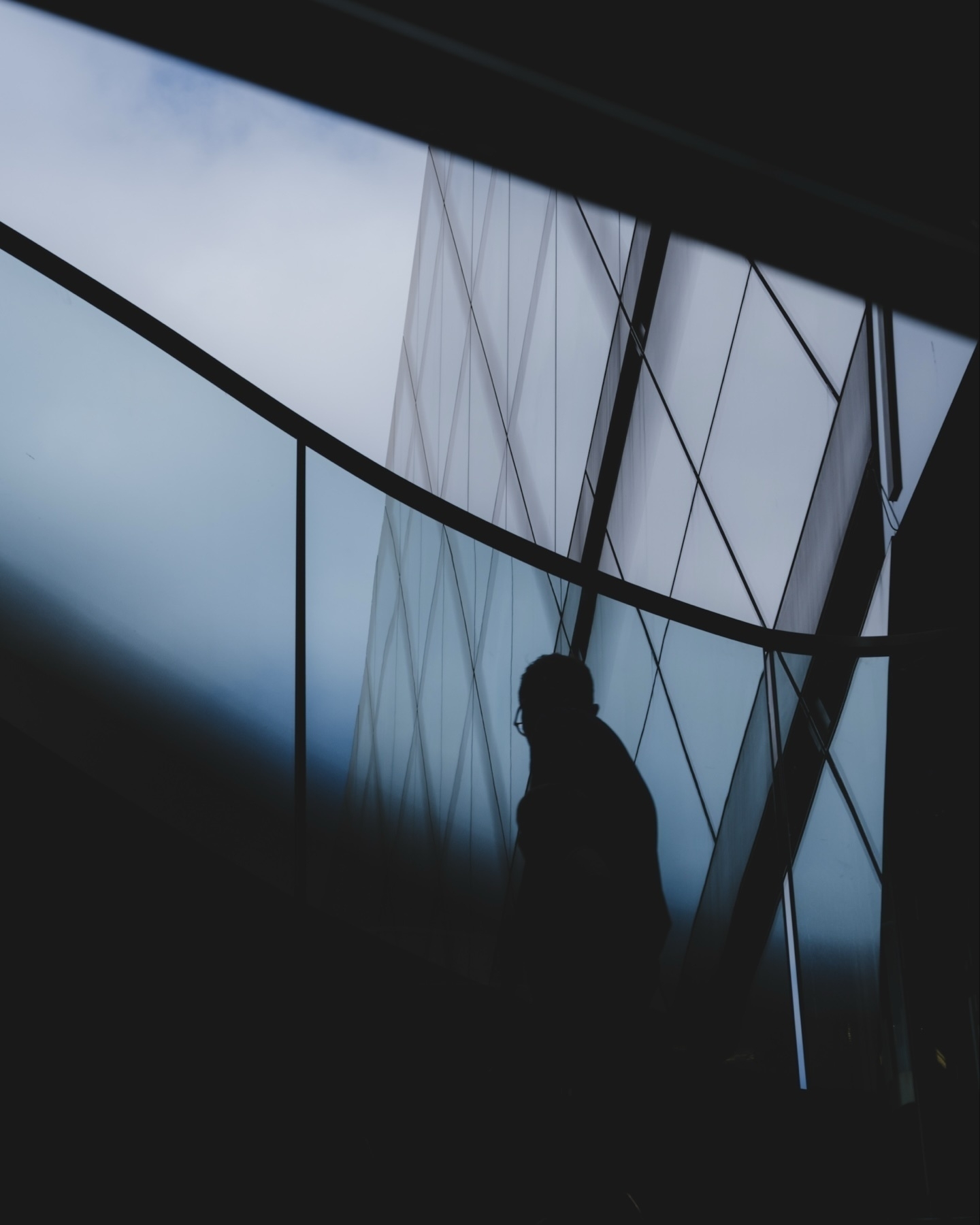 Silhouette of a person against a modern, geometric glass building with overcast sky in the background.