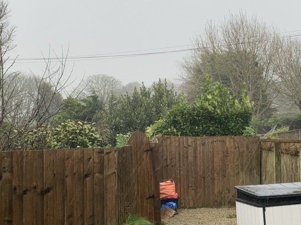 The exterior of a garden, with a dark brown fence that, on the right, moves further back for the driveway. Above the fence foiliage blows in the wind. The air is also full of rain.