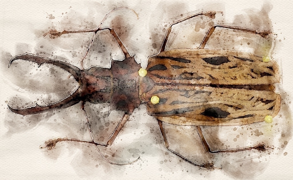 Bolivian sabertooth longhorn beetle photo rendered as a watercolor using Photoshop.