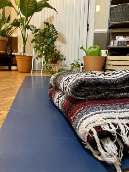 Yoga mat with blankets, plant in the background