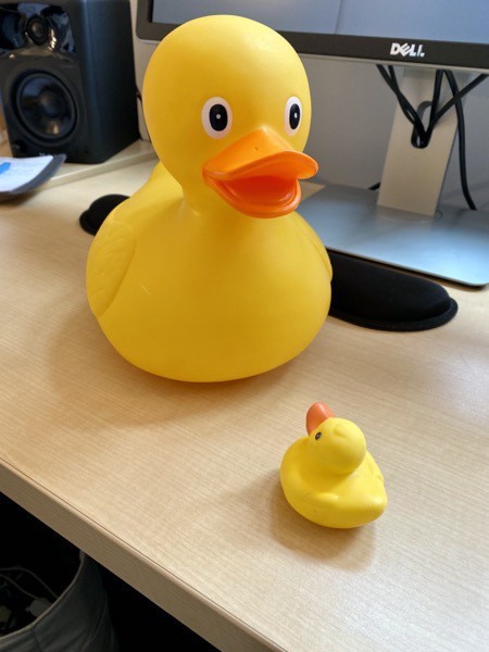 Two rubber ducks, one big, one small, on a desk facing each other