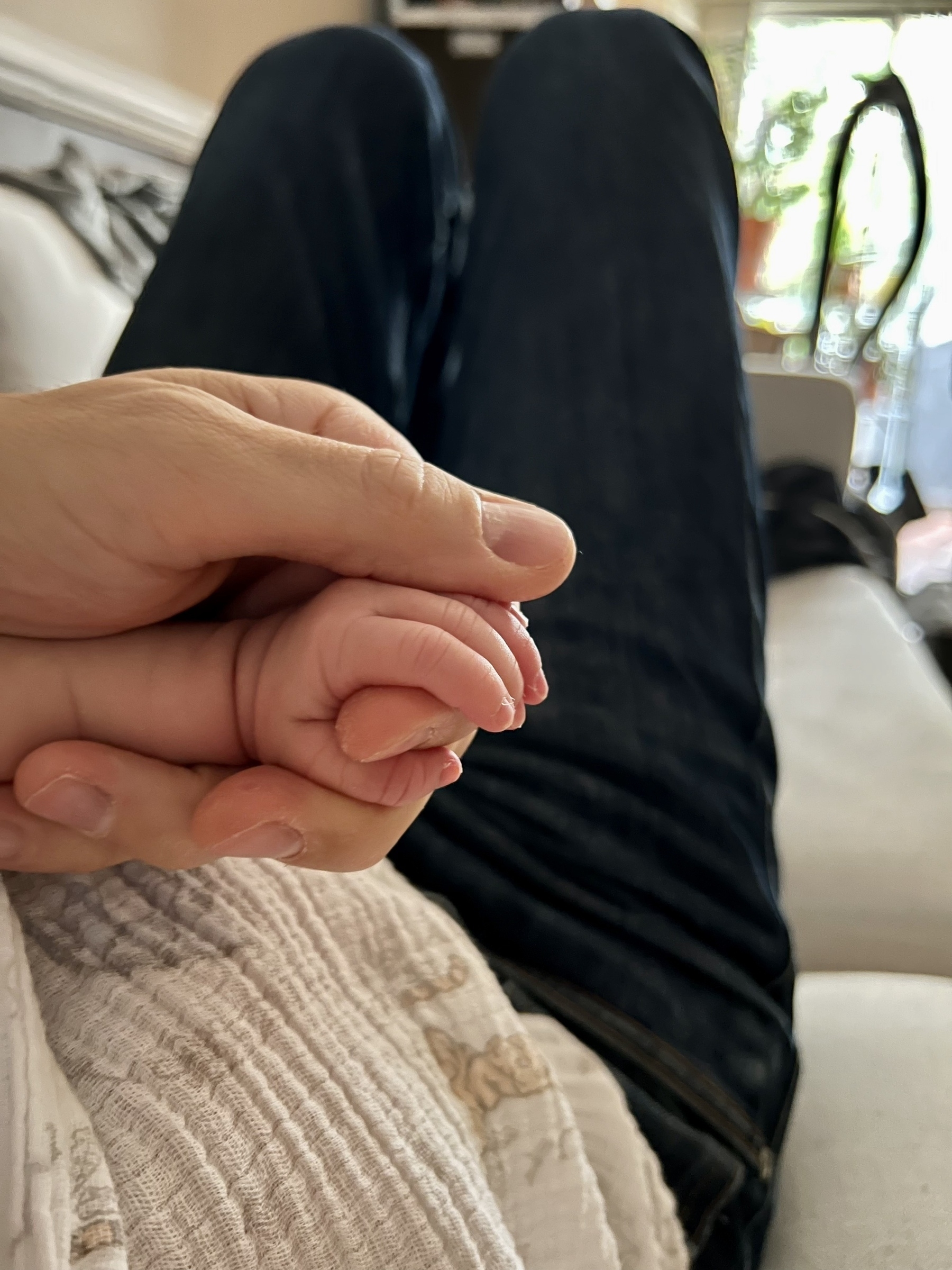 Adult holding baby's hand