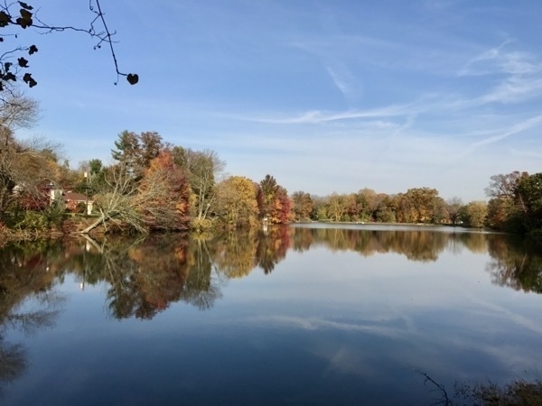 Trees with fall colors reflected in a lake