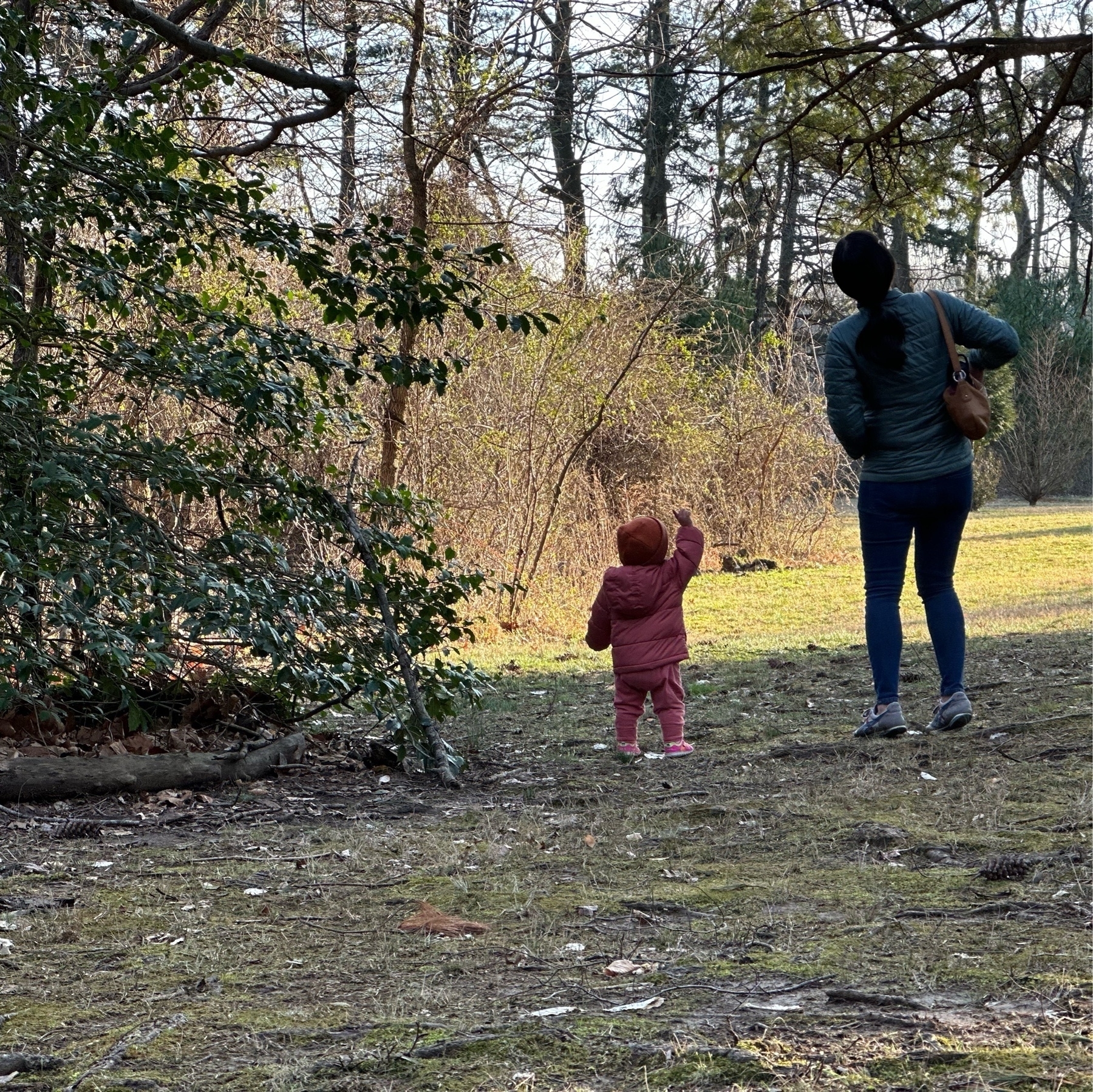 Adult and toddler in a field looking up at a tree.